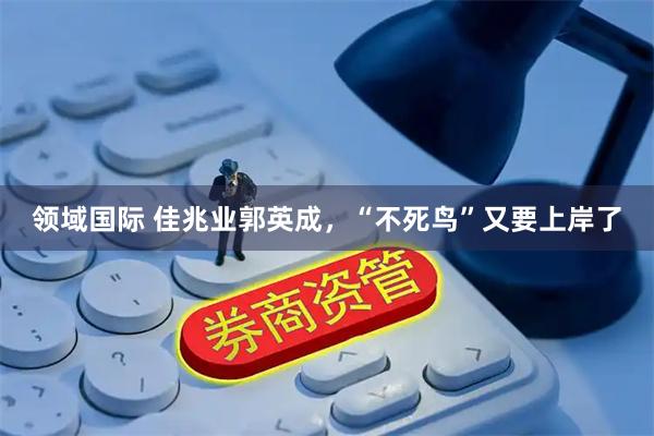 领域国际 佳兆业郭英成，“不死鸟”又要上岸了