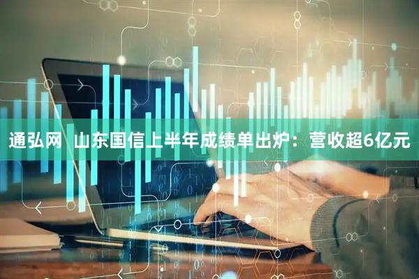 通弘网  山东国信上半年成绩单出炉:营收超6亿元