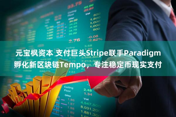元宝枫资本 支付巨头Stripe联手Paradigm孵化新区块链Tempo，专注稳定币现实支付