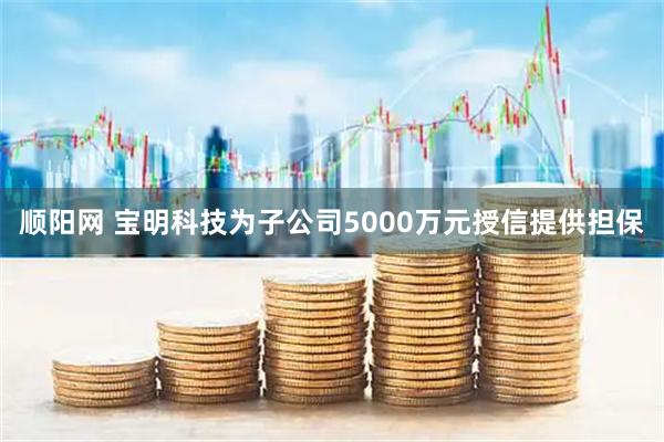顺阳网 宝明科技为子公司5000万元授信提供担保