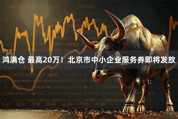 鸿满仓 最高20万！北京市中小企业服务券即将发放