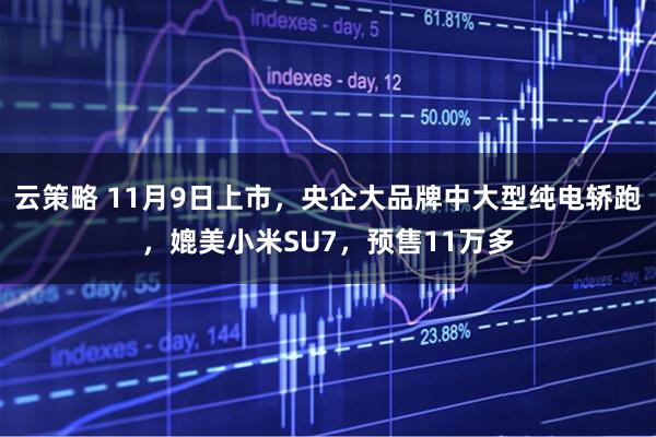 云策略 11月9日上市，央企大品牌中大型纯电轿跑，媲美小米SU7，预售11万多