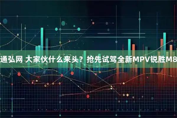 通弘网 大家伙什么来头?抢先试驾全新MPV锐胜M8