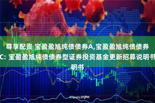 尊享配资 宝盈盈旭纯债债券A,宝盈盈旭纯债债券C: 宝盈盈旭纯债债券型证券投资基金更新招募说明书