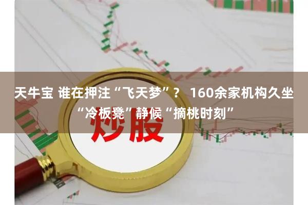 天牛宝 谁在押注“飞天梦”？ 160余家机构久坐“冷板凳”静候“摘桃时刻”