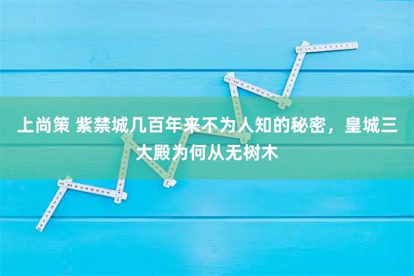 上尚策 紫禁城几百年来不为人知的秘密，皇城三大殿为何从无树木