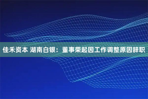 佳禾资本 湖南白银：董事荣起因工作调整原因辞职