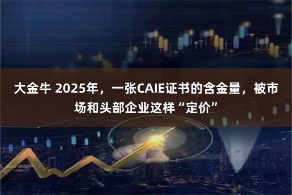 大金牛 2025年，一张CAIE证书的含金量，被市场和头部企业这样“定价”