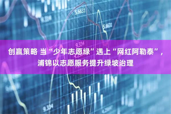 创赢策略 当“少年志愿绿”遇上“网红阿勒泰”，浦锦以志愿服务提升绿坡治理
